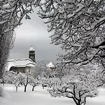 Le Des Faucons